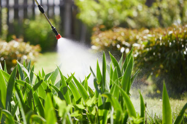 24/7 Emergency Pest Control experts in Sutton, NE
